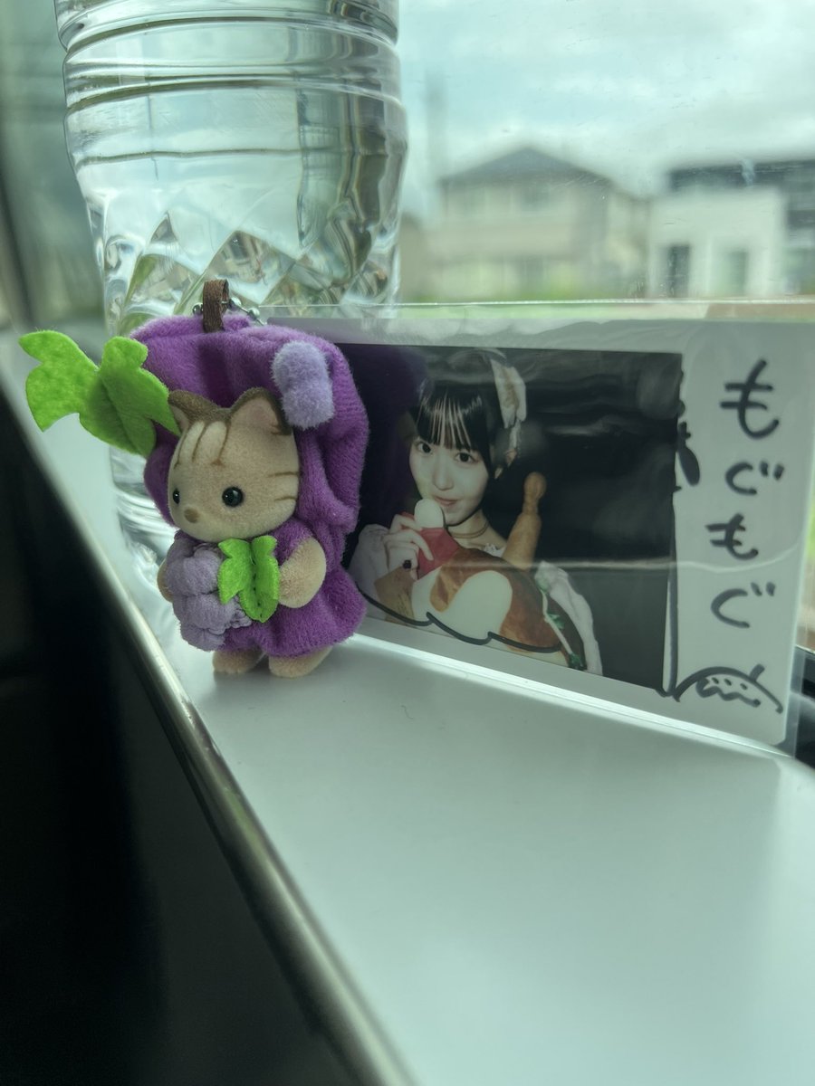 mmm_enc's tweet photo. 今日のお友達です https://t.co/26GHb1VAEc