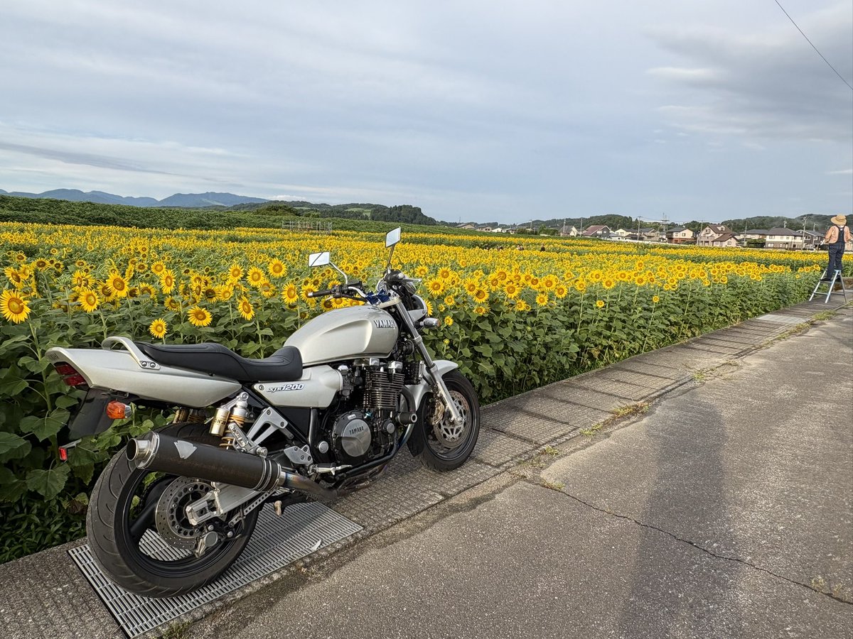 tmge_18312's tweet photo. 先週に続きこの前の日曜も朝6時から8時まで
バイクに乗ってました🏍️💨

去年も観に行った郊外にある『ひまわり畑』の
ひまわりを観に行きました。

早朝だったので観に来ていた人は10人位で空いてました。
満開の🌻は綺麗に咲いていましたよ😊
🌻を見ると元気になりますね♪
🌻を観れて良かった😊 https://t.co/4xXXiaiglJ