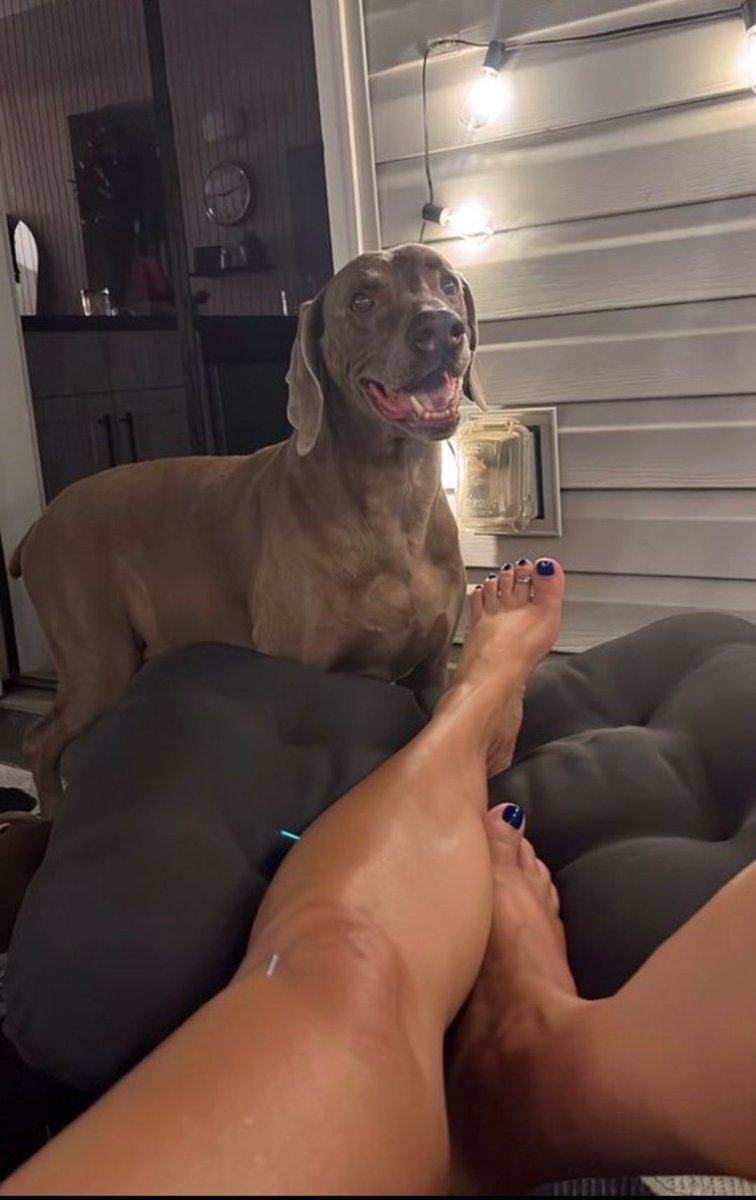 KnottyMaddy33's tweet photo. 🐶❤️
Come join us…
#Dogs #EU #USA
https://t.co/ySTszSY2VG https://t.co/MoJCwAAxzd