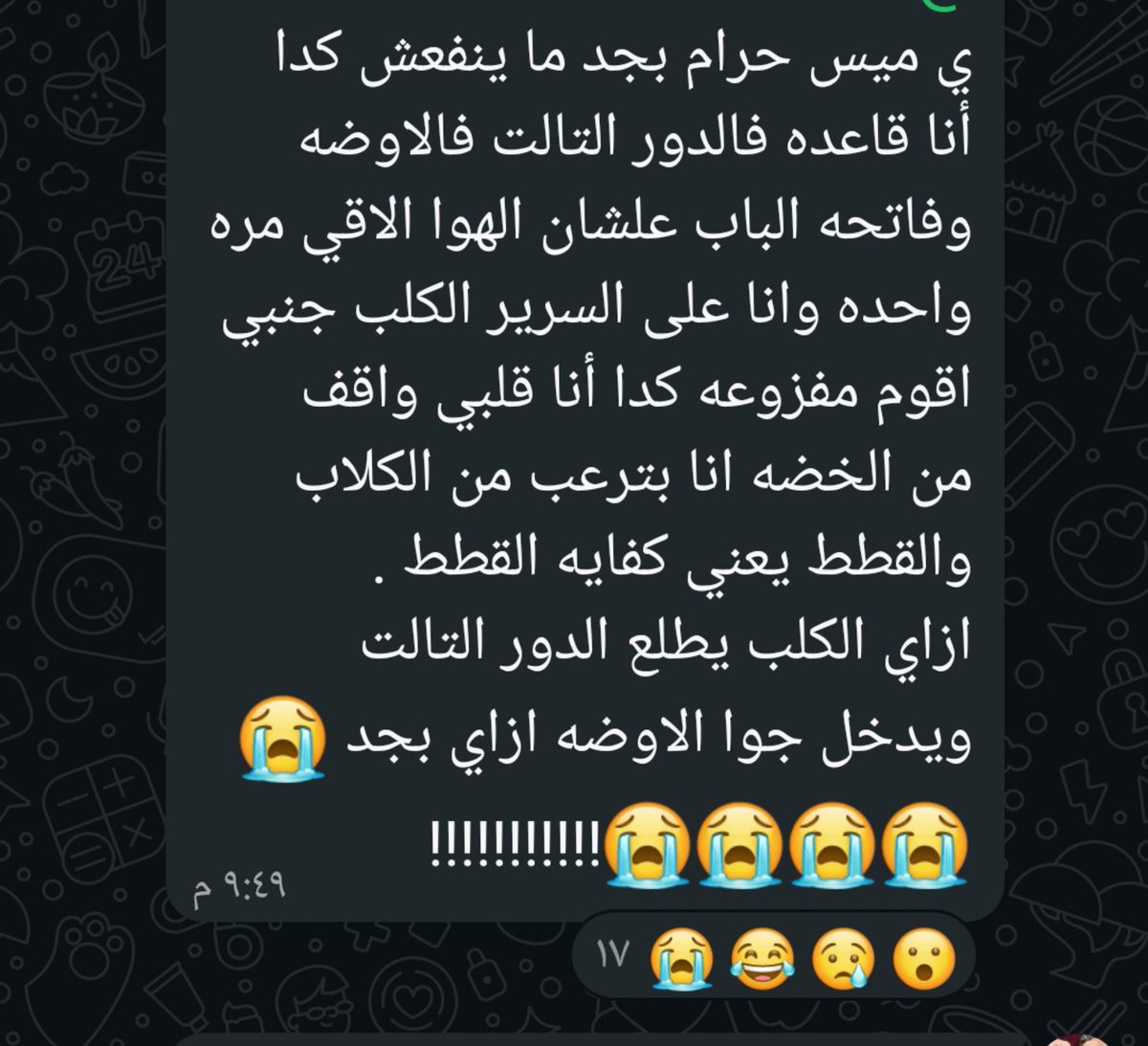 madam_poteto's tweet photo. بحب جروب السكن https://t.co/pLTFuGuRrE