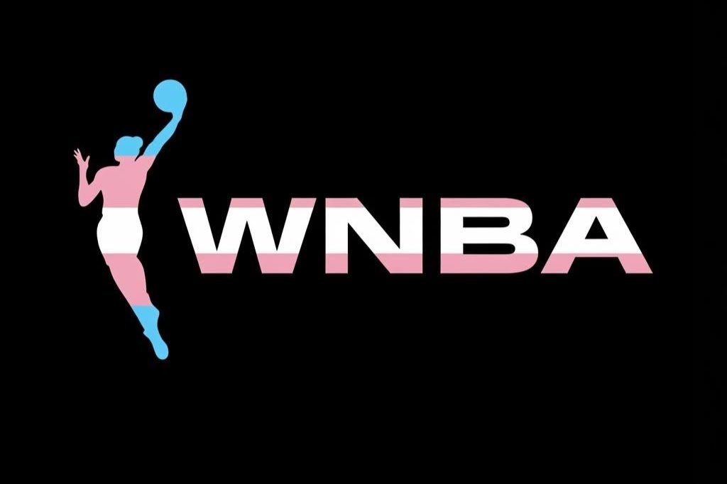 ImmortanZit's tweet photo. This is my statement:

"Trans women belong in the WNBA, but we need to be sure that they are real trans women and not just men saying they are trans women because they have an agenda (like the appropriation of women's sports)."