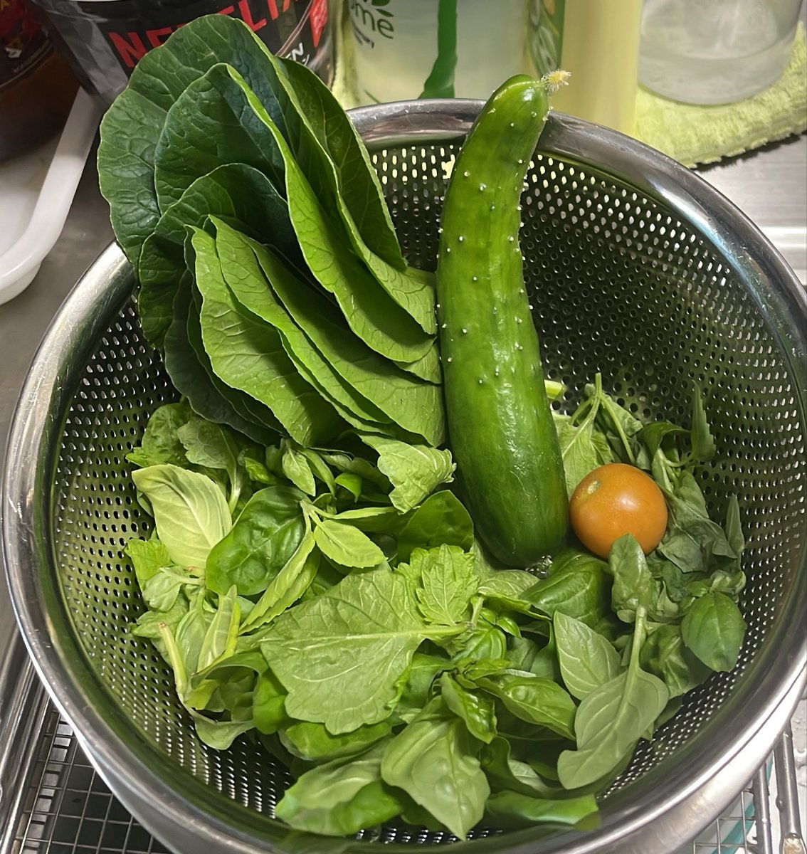 KAIxxqq's tweet photo. 朝採りきゅうり…
…初🥒↼なので小さ目に収穫✂️
(やっとだよ( ；ᗜ； ))
…からの、2株目の初🍅
小松菜10枚🥬
毎度お馴染みのバジルと大葉🌿
こんなに採れる様になたよ✨️⤴︎ https://t.co/IEyHmvreWM
