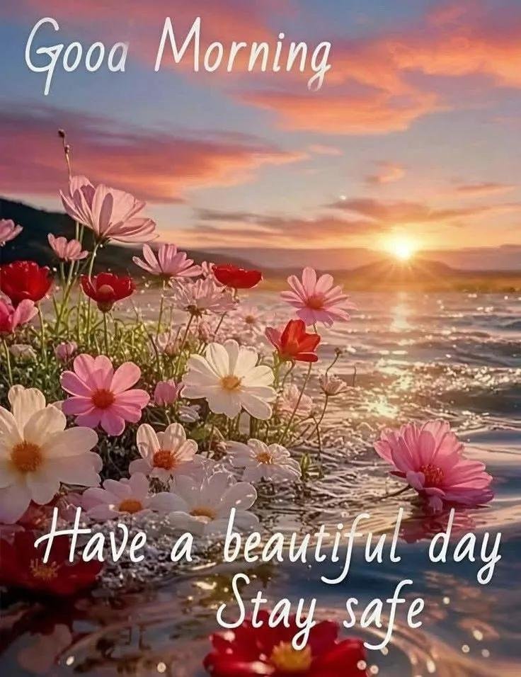 raven_ravendran's tweet photo. Good morning Peeps 🙏  have a Beautiful day ahead!🎵☕️☕️🎶 https://t.co/87JXY2RzDm