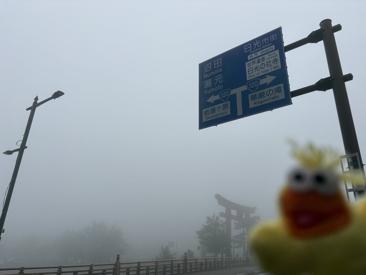 samy_or's tweet photo. 台風の影響でロープウェイが止まり、白根山登山はあきらめて戦場ヶ原を歩いたり滝を見たりして来ました。 https://t.co/CRS7yQYXFJ