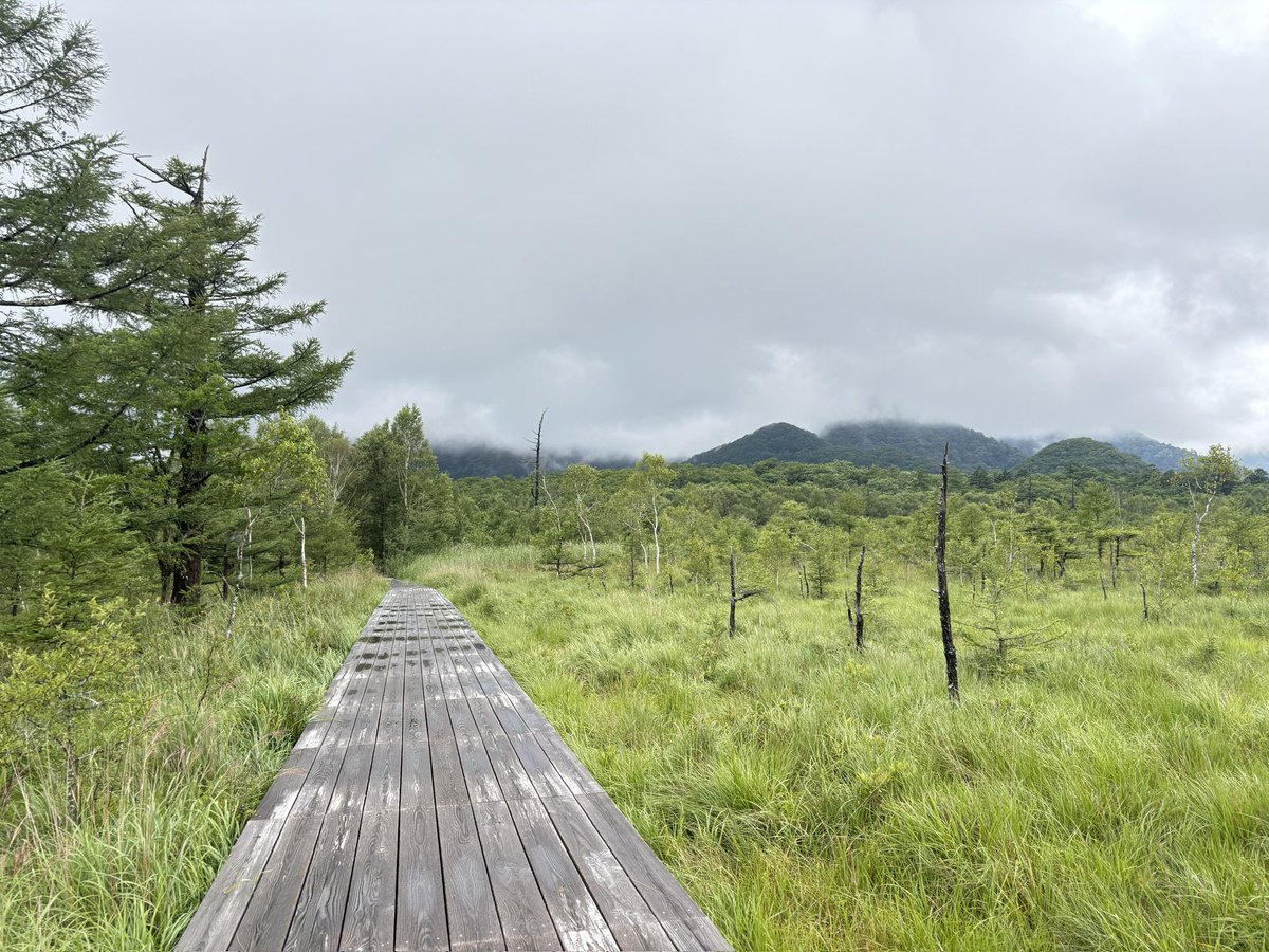 samy_or's tweet photo. 台風の影響でロープウェイが止まり、白根山登山はあきらめて戦場ヶ原を歩いたり滝を見たりして来ました。 https://t.co/CRS7yQYXFJ