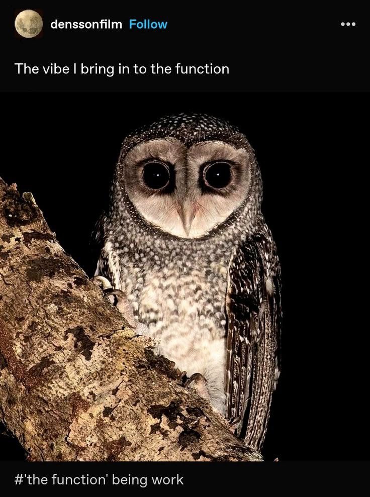 SydDivineTarot's tweet photo. how i imagine virgo/scorpio moons https://t.co/z42TNtJqvG