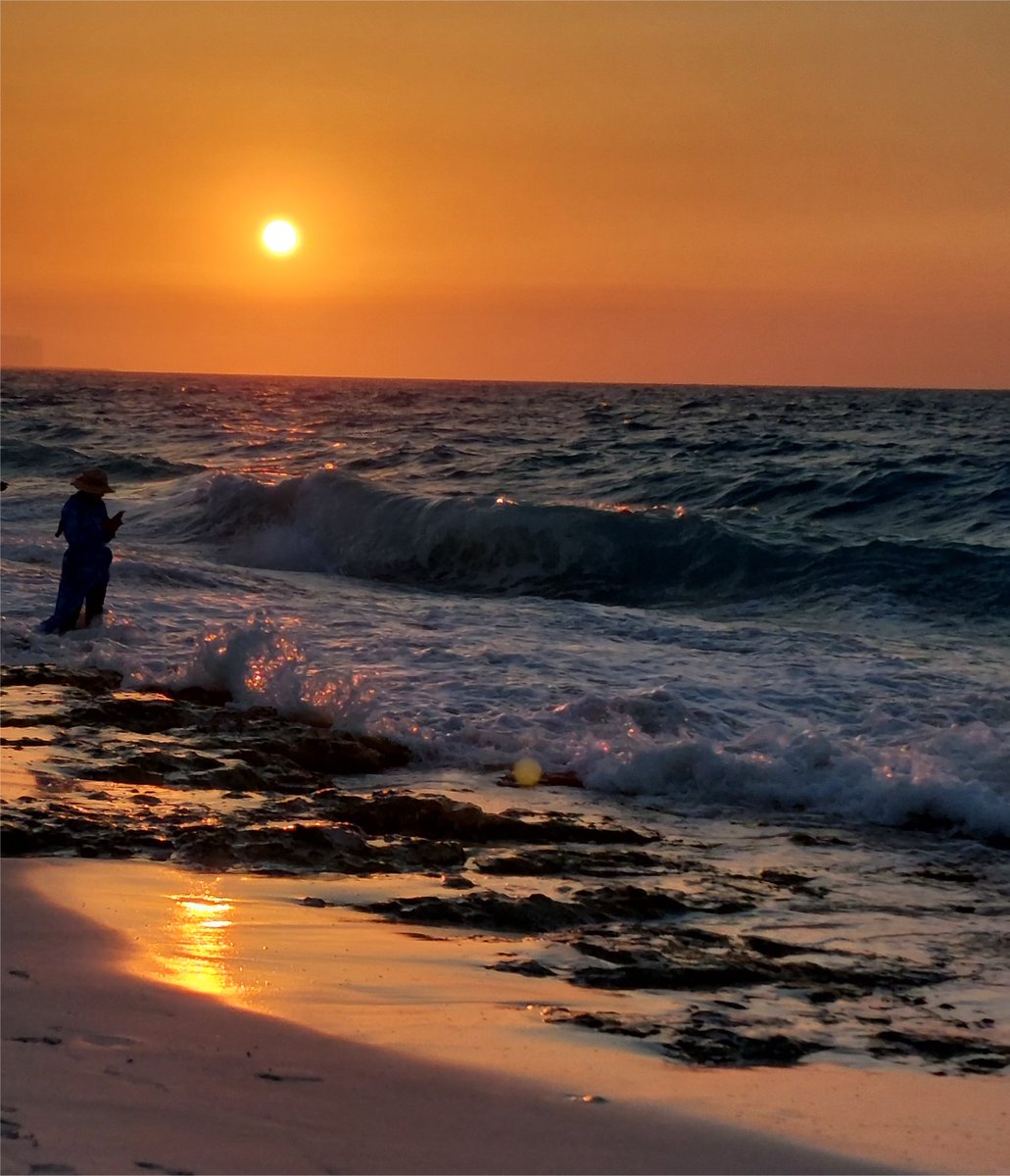 dowa_ths's tweet photo. 🧡☀️ https://t.co/eP3nhbiDIV