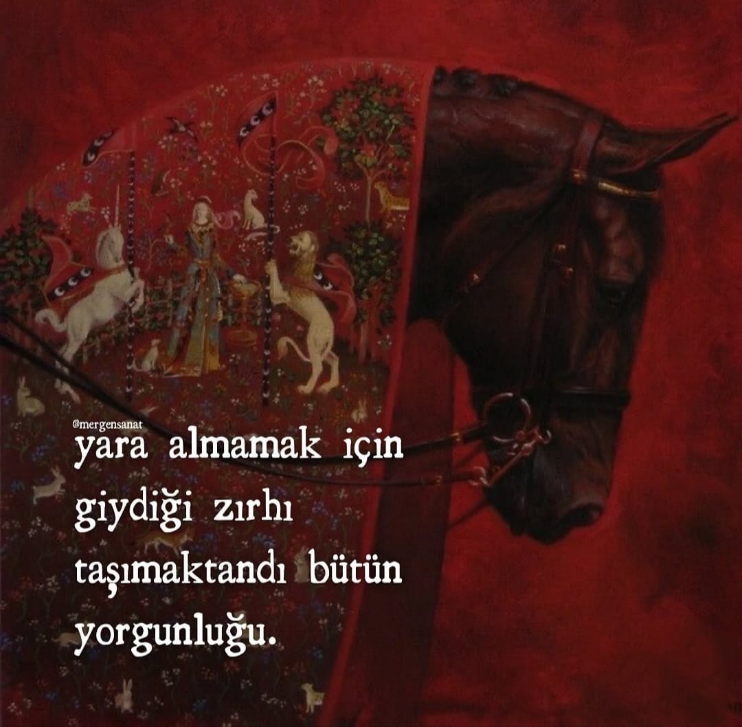 sevgilikendin's tweet photo. https://t.co/mmKYhC07TW