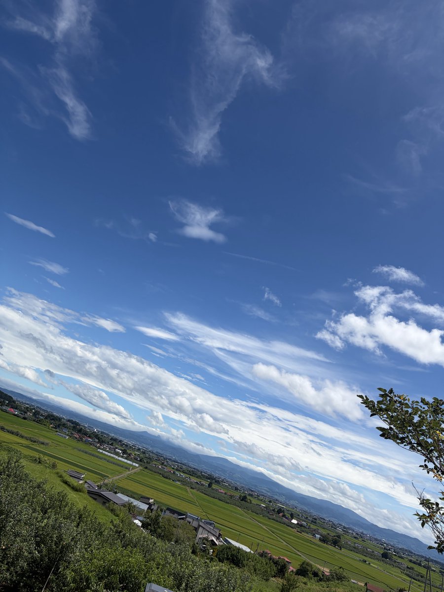 Maximtomato0129's tweet photo. 天気良い https://t.co/ipF6J333JD