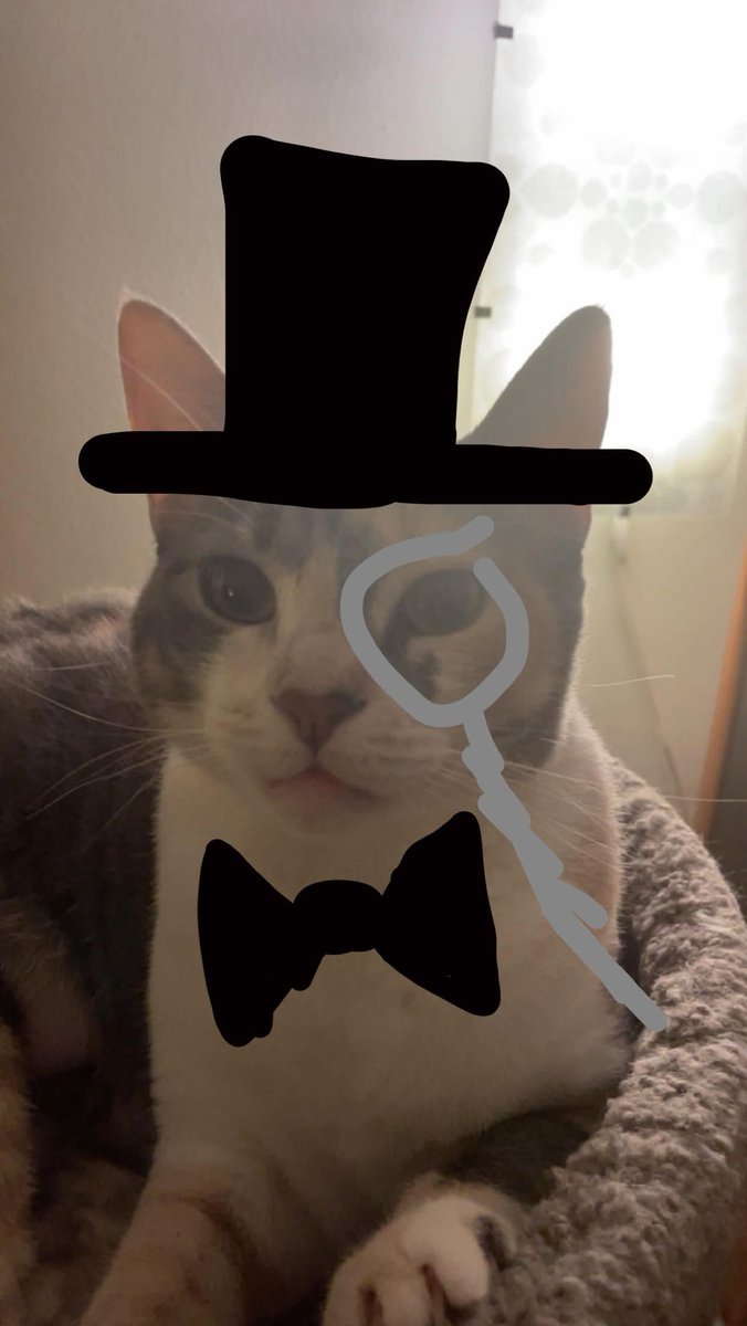 pepperrr01's tweet photo. rate the fit https://t.co/wc40wzfOdu
