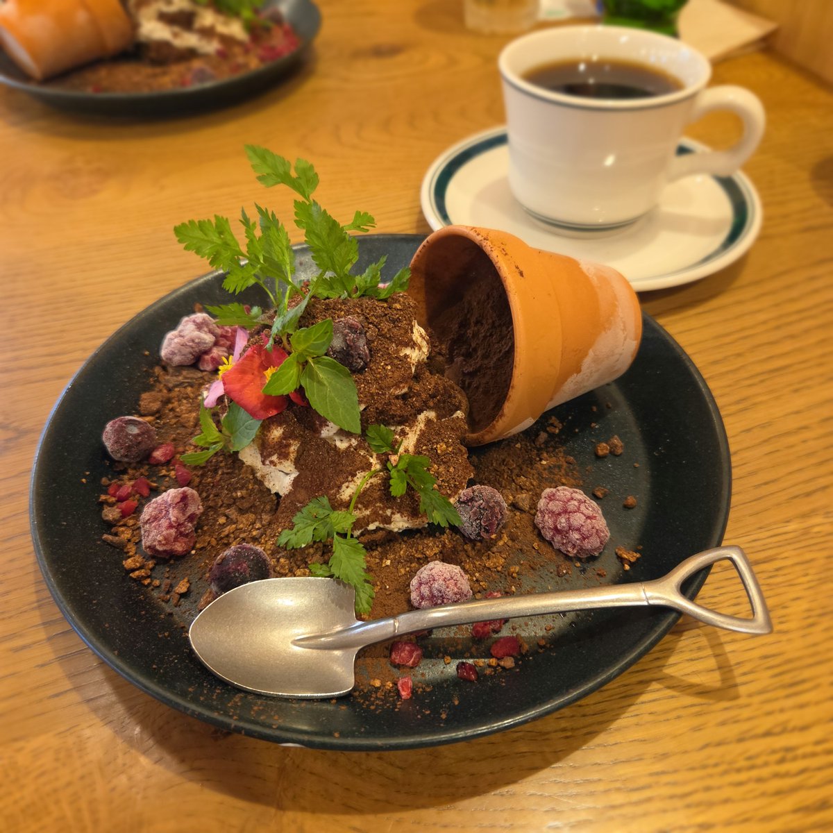 you1mtmt's tweet photo. このティラミスを食べてみたくて
昼食はここのお店でパスタ🍝

#MEGCAFE511 https://t.co/GDPNMLiLtI
