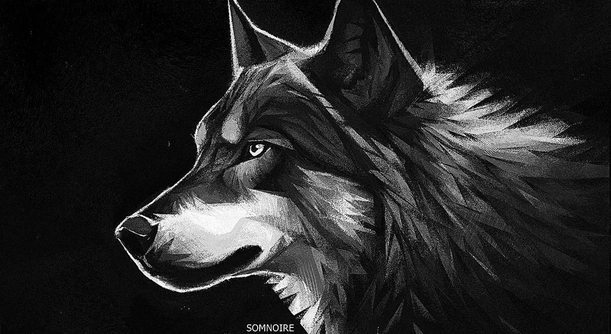 somnoire's tweet photo. sharp wolp https://t.co/pHW2j6AtcG