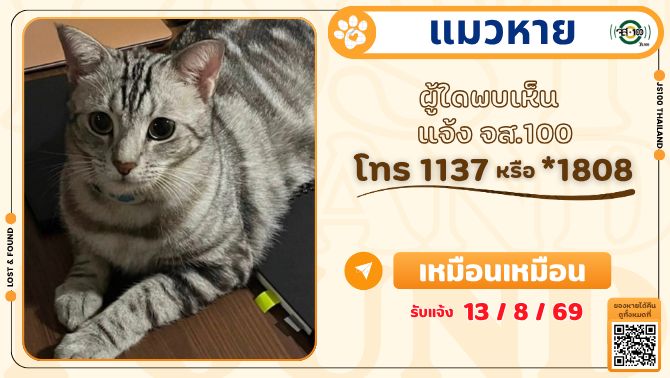 js100radio's tweet photo. แมวหายจากบ้านบริเวณใกล้เคียงโรมเเรมชาน เขตบางกอกน้อย ผู้ใดพบเห็นแจ้ง JS100 โทร *1808 หรือ 1137

รายละเอียดเพิ่มเติม : https://t.co/aC2hAM5lHv

#แมวหาย #ตามหาแมวหาย #JS100 https://t.co/ZZREqxWiqg