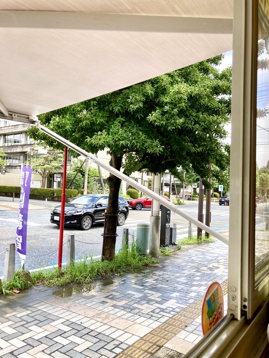 fatrat_diner's tweet photo. FATRATの車窓からの市役所をどぞ🩷🍴🐭🐹
#相模原市 #中央区 #相模原市役所
#靴修理くつふく前 #毎週木曜日
#世界の屋台ごはん #FATRAT https://t.co/0hHjb71gHg