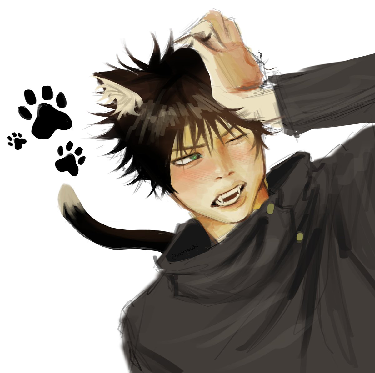 MokaAochi's tweet photo. Meow https://t.co/vlkkOL7HYJ