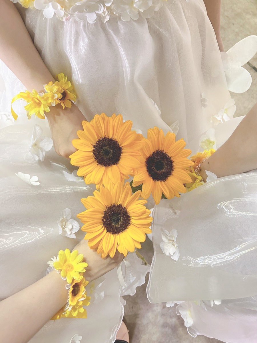 inoue_honokuma's tweet photo. たくさんの思い出をありがとうございました🍋
初めて見る景色や感情に出会ったり、、、ナナシスと一緒に過ごした時間は私にとって宝物です🐝
キョーコちゃんに出会えて、本当に幸せ🤍
これからも大好きですっ🌻 https://t.co/1rUodFe1B5