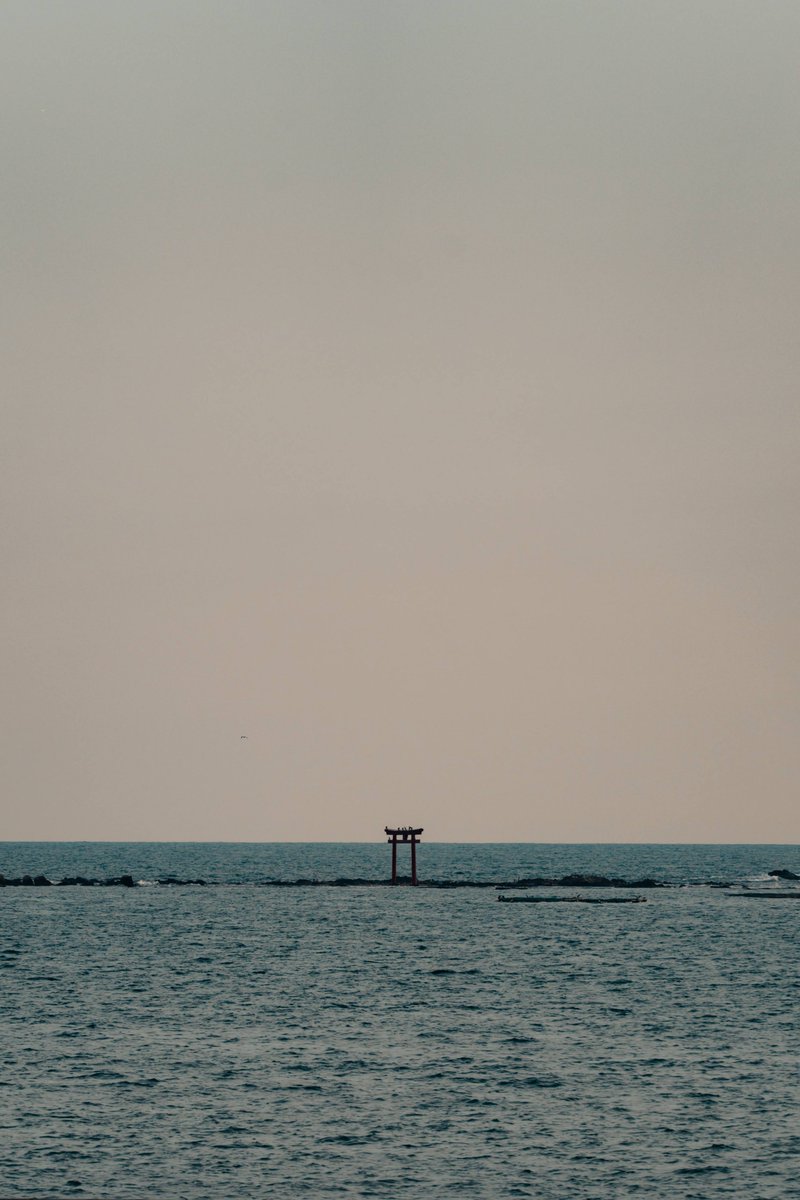 YTacya36's tweet photo. 葉山海岸散歩/ SONY a7ⅳ / TAMRON
28-75mm F/2.8 Di III VXD G2 / https://t.co/vwfjZrSYsG