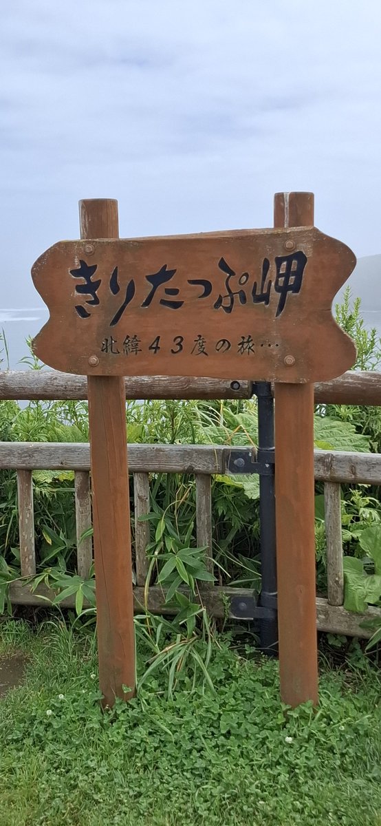 kaoringo214's tweet photo. 霧多布岬到着🌊🚶‍♀️
ラッコはいなさそう😓
#北海道浜中町 https://t.co/9enJWxthVJ