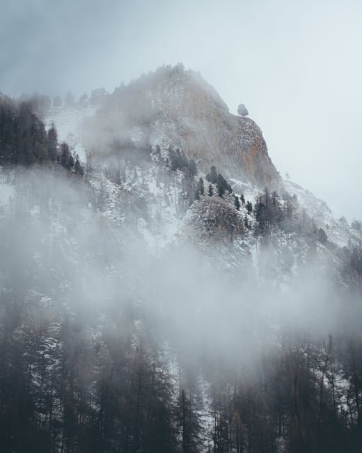 guest32190's tweet photo. يحيي القلوب. اللحظات الأمان داخل angele lockette🏔️ https://t.co/ZEEmUPdZnL