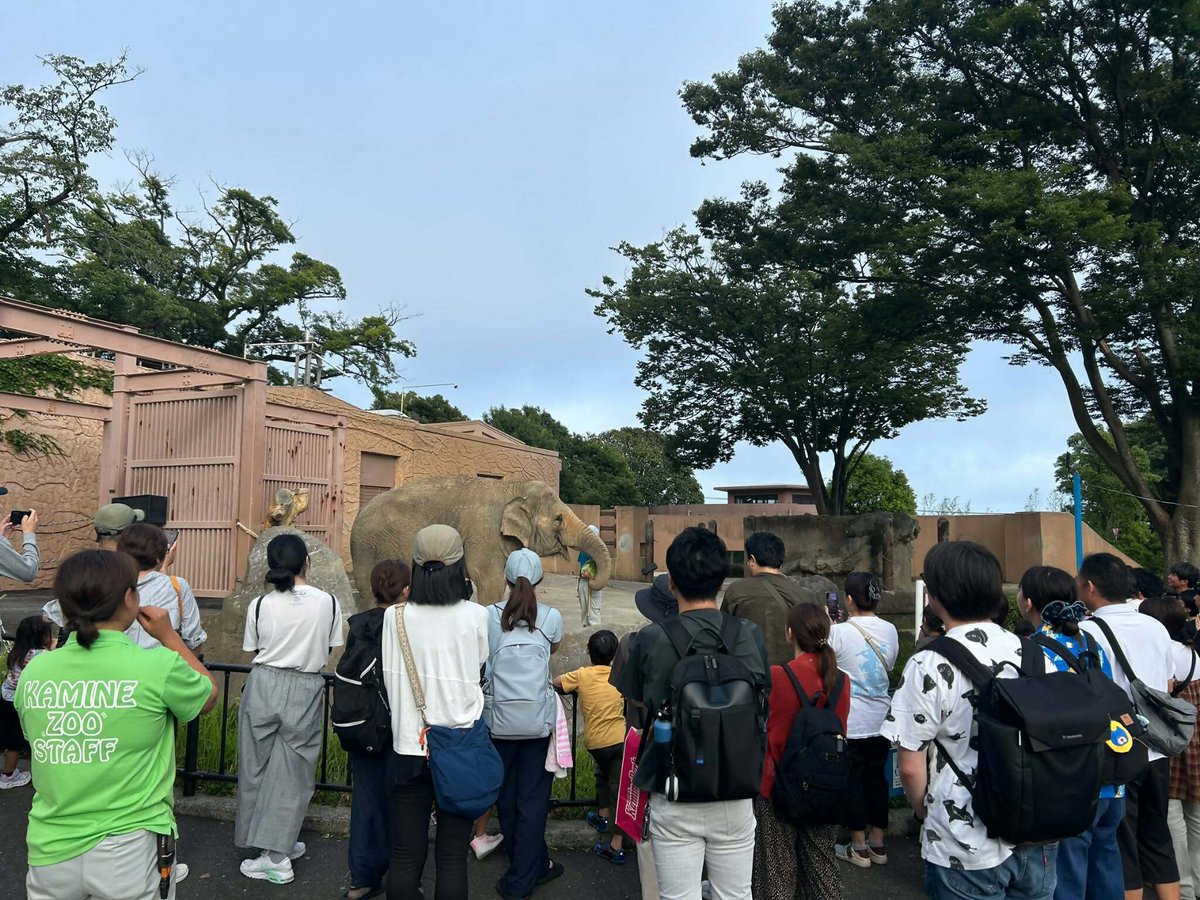 HitachiCity_Zoo's tweet photo. 昨日は ＃世界ゾウの日 にちなんで様々なイベントを行いました。多くの方にご参加いただき、ありがとうございます！この機会にゾウをより好きになってもらえていれば幸いです。ぜひ、今後もゾウにまつわる様々なことに興味をもって、野生のゾウにも関心を持っていただければと思います！＃かみね動物園 https://t.co/qeU7e5BoNf