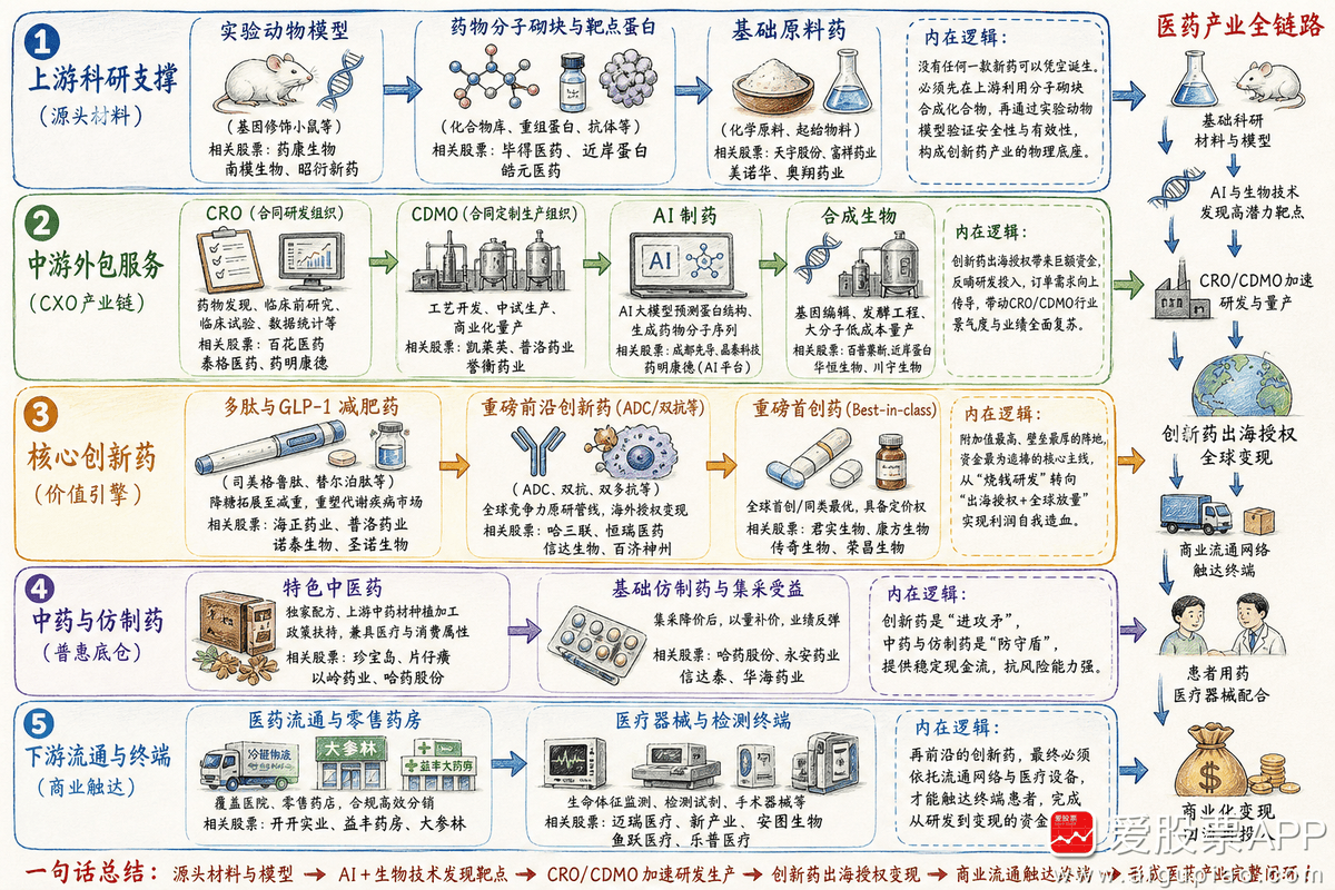 Deelu179242's tweet photo. 创新药出海产业链及核心公司全梳理（附股）

随着中国创新药海外授权金额显著增长，医药产业正经历从源头创新到全球化变现的深刻转型。

创新药领域BD交易热度不减，8月10日单日落地三起重磅交易，涵盖前沿技术联合开发、承接跨国药企产品国内商业化及输出自研产品海外权益。

具体包括百济神州与Revolution Medicines合作探索肿瘤创新联合治疗方案并获其四款临床阶段候选药物在部分亚洲市场的权益，信达生物携手第一三共拿下维复泰®中国大陆市场商业化推广权，以及甘李药业将其自主研发的GLP-1创新药授权给意大利美纳里尼集团布局欧洲市场。这些高额、高频的授权合作显著提振了市场对国内创新药企研发实力及出海前景的信心。

国产创新药出海两大主流模式：BD授权海外药企拿首付款+里程碑、自主FDA/EMA申报+海外自建商业化销售；整条产业链上游为卖铲人CXO/原料/耗材（确定性最强），中游自研药企是行情弹性核心，下游为海外注册、销售、渠道服务商。

在上游科研支撑环节，实验动物模型及分子砌块等基础材料（如药康生物、南模生物、昭衍新药、毕得医药、近岸蛋白、皓元医药）构成了研发的物理底座。

中游外包服务侧，CRO与CDMO企业及前沿技术赋能者（如百花医药、泰格医药、药明康德、凯莱英、普洛药业、誉衡药业、百普赛斯、成都先导）通过承接研发与定制生产加速工艺落地。

在核心创新药研发阵地，多肽、GLP-1及前沿抗体药物的参与者(如海正药业、诺泰生物、圣诺生物、哈三联、恒瑞医药、信达生物、百济神州)正推进技术突破与授权出海;同时，中药及基础仿制药企业（如珍宝岛、哈药股份、片仔癀、以岭药业、永安药业、信立泰）提供基础医疗产品。

在下游流通与终端应用阶段，零售网络与医疗器械提供商（如开开实业、益丰药房、大参林、瑞康医药、冀衡医药、迈瑞医疗）保障了产品从出厂到患者端的交付闭环。

1、综合型创新药龙头

恒瑞医药：国内创新药绝对龙头，研发投入第一；覆盖肿瘤、自免、麻醉、代谢；已批19款1类创新药，核心：卡瑞利珠单抗、阿帕替尼、吡咯替尼；2025创新药收入占比超60%。

百济神州：全球化最强，中美欧三地布局；核心：泽布替尼（海外年销超50亿）、替雷利珠单抗；肿瘤、自免、血液瘤管线全面。

复星医药：创新药+疫苗+器械+医疗服务；CAR-T（阿基仑赛）国内领先；小分子、生物药、ADC多赛道布局。

科伦药业：输液+创新药双轮；ADC、双抗、小分子全面推进；SKB264（TROP2-ADC）等进入临床关键期。

2、ADC/双抗赛道

荣昌生物：国产ADC龙头；维迪西妥单抗（国内首款自研ADC）+泰它西普（自免）双轮；与艾伯维授权出海（26亿美元里程碑）。

百利天恒：双抗+ADC平台；肿瘤、糖尿病；多款双抗/ADC进入临床，2025业绩高增。

乐普生物：聚焦ADC；Claudin18.2、HER2等靶点；多款ADC进入临床。

百奥泰：生物类似药+创新双抗/ADC；TROP2-ADC、HER2双抗管线推进。

3、小分子创新药

信立泰：心血管+代谢龙头；GLP-1、小核酸、肾性贫血布局；阿利沙坦酯、S086等放量。

艾力斯：肺癌精准治疗；伏美替尼（三代EGFR-TKI）年销近50亿；EGFR exon20ins等前沿靶点。

诺诚健华：肿瘤+自免；奥布替尼（BTK）、ICP-192（FGFR）；商业化+管线双轮。

贝达药业：小分子创新；埃克替尼、恩沙替尼；KRAS、EGFR等前沿靶点布局。

迪哲医药：舒沃替尼（EGFR exon20ins）中美双报；全球III期成功，肺癌精准治疗。

海创药业：前列腺癌；德恩鲁胺（AR拮抗剂）；泌尿系统肿瘤管线。

4、自免/代谢/慢病

君实生物：PD-1先行者；特瑞普利单抗（国产首款）；自免、肿瘤、抗感染多领域。

信达生物：PD-1（信迪利单抗）+双抗/ADC；信迪利单抗年销超30亿；PD-L1/TROP2双抗ADC进入临床。

华东医药：医美+医药；利拉鲁肽、司美格鲁肽布局；GLP-1口服制剂领先。

甘李药业：胰岛素+GLP-1；胰岛素周制剂GZR4、博凡格鲁肽（双周GLP-1）；出海欧盟获批。

海思科：麻醉、肠外营养、肝病；创新药+特色仿制药；多款创新药进入临床。

5、生物药/疫苗/特色领域

舒泰神：神经+消化；苏肽生（神经修复）；小核酸、补体抑制剂布局。

三生国健：自免生物药；益赛普（TNF-α）；双抗、融合蛋白管线。

康希诺：mRNA疫苗；新冠+带状疱疹；吸入式疫苗技术领先。

智飞生物：代理HPV+自主结核疫苗；现金流支撑创新研发。

6、CXO/创新药服务

药明康德：全球CXO龙头；药物发现→临床→商业化全流程；小分子、细胞基因治疗全覆盖。

泰格医药：临床CRO龙头；I-IV期临床、数据管理；全球多中心服务能力。

康龙化成：小分子CDMO+临床CRO；药物发现、工艺开发、生产。

昭衍新药：临床前安评龙头；实验动物资源壁垒；安全性评价、药效学研究。

7、转型/特色原料药

美诺华：特色原料药→创新；非药型GLP-1减重、小核酸；原料药制剂一体化。

华海药业：原料药+制剂；抢滩GLP-1专利到期；国际化申报能力强。

联环药业：扬州国资；糖尿病创新药LH-1801；6个创新药管线，仿创结合。