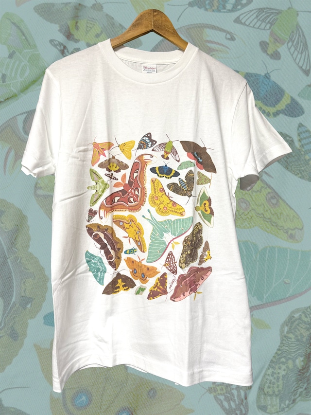 kameminoji's tweet photo. #虫むし展 開催中のTHE STUDY ROOM 仙台店さんに日本の蛾Tシャツや世界のダンゴムシてぬぐいを送り出しました〜🦋
虫むし展は今月末までです！
 #虫グッズ #蛾グッズ #スタディールーム https://t.co/Hx44ckHQNe