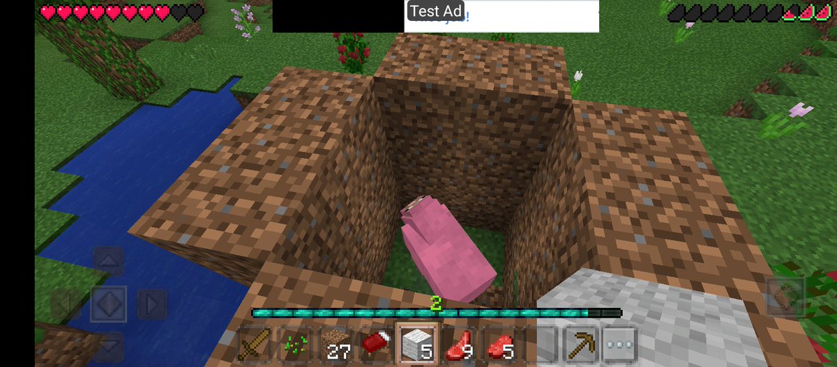 NgocHanri's tweet photo. I found a pink sheep in my fake Minecraft world🥹 https://t.co/SWDJTkr8va