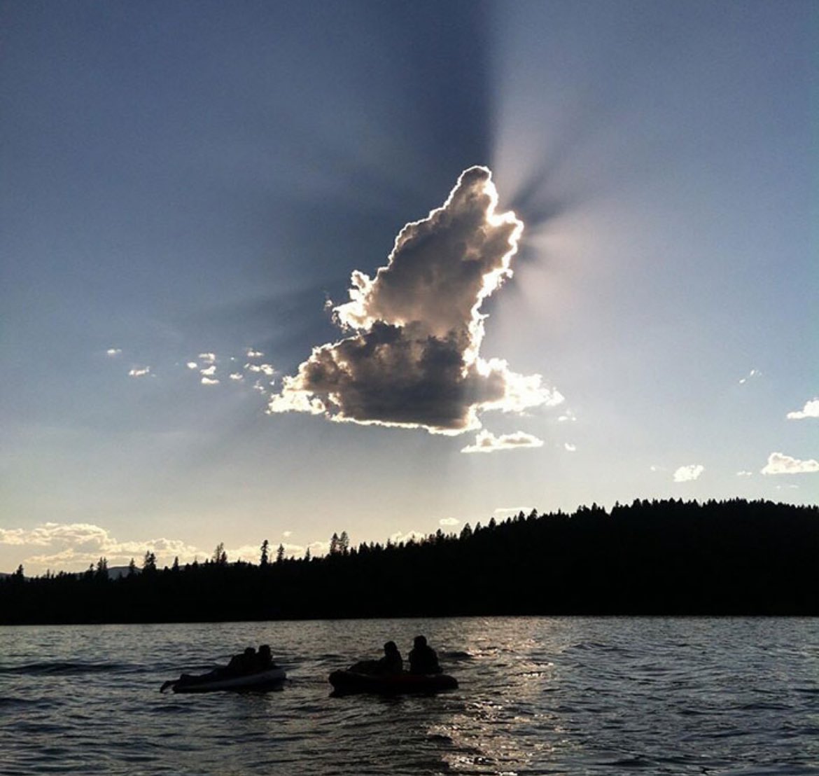 bettrthanexpctd's tweet photo. @ElderSpook Saw Belle checking on you from Heaven 🙏 https://t.co/qgvS4CgDTb