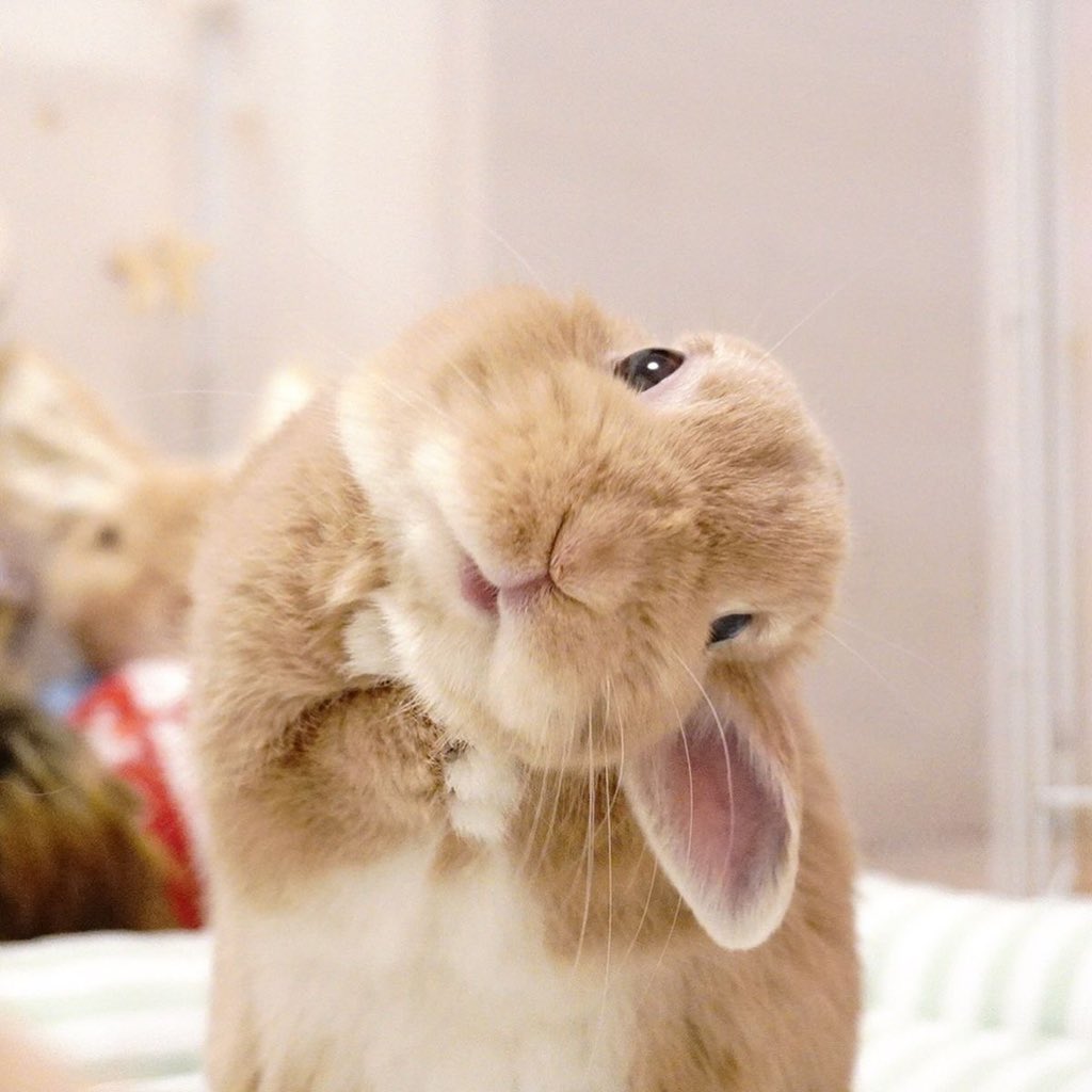 Twikkiarchive's tweet photo. https://t.co/QWv9QIHtsO