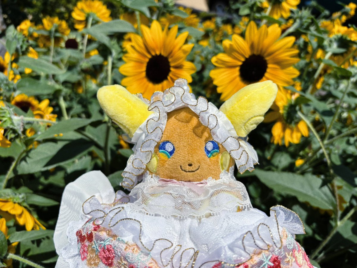 amagi_rai26's tweet photo. ヒマワリに囲まれたアロライちゃんがお昼をお知らせします🌻

#ポケモンfit 
#あかつきクローゼットのぬい服 https://t.co/ekJ2MHWwku