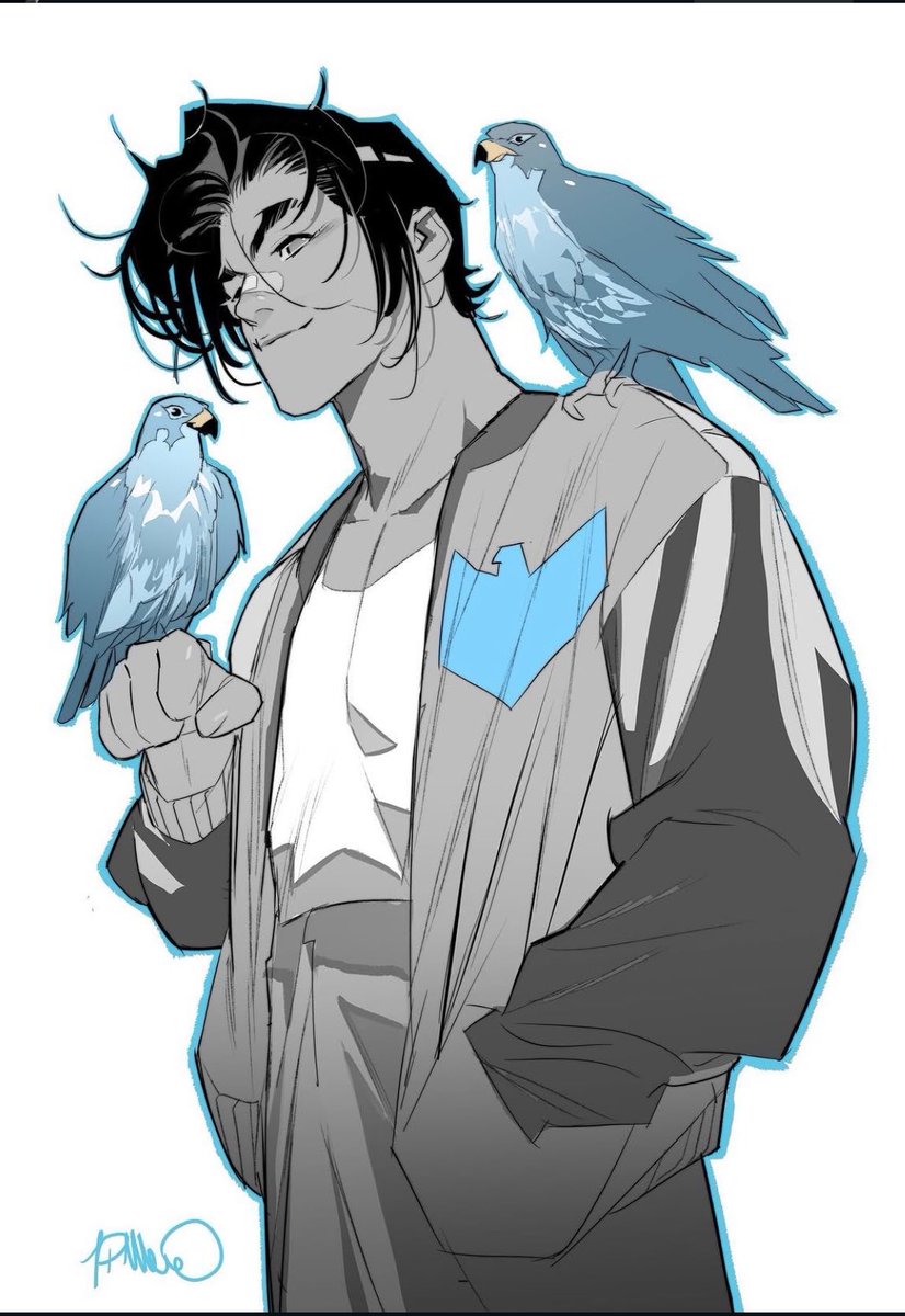 thelukadoncic's tweet photo. I love Simone Di Meo's Nightwing https://t.co/CAeMuuo8tA