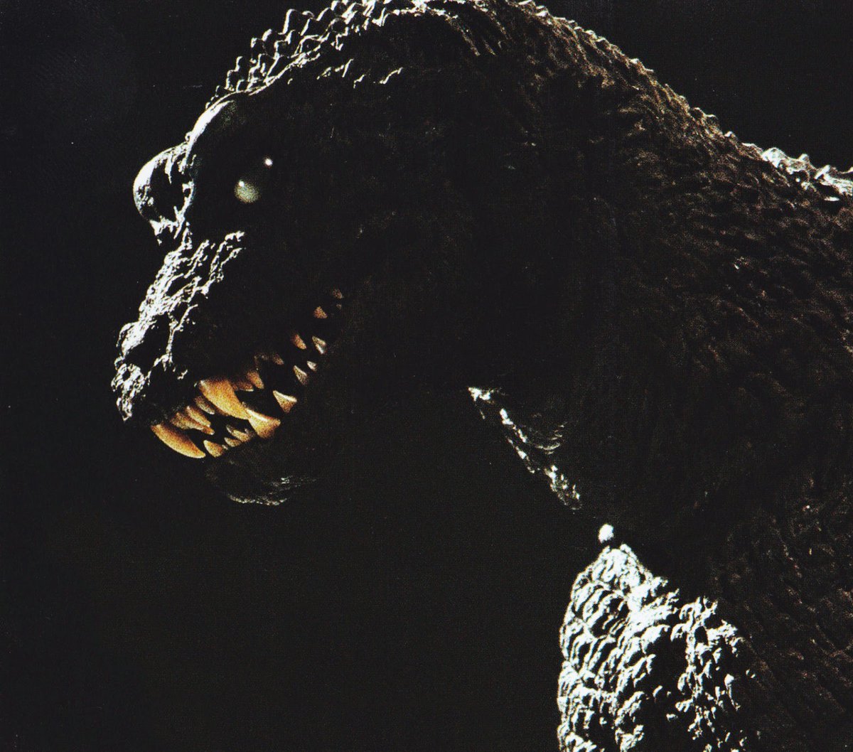 Godzilla_shots's tweet photo. https://t.co/F4bOjKYTFZ
