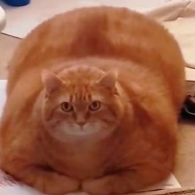 Acasia079's tweet photo. #NewProfilePic https://t.co/tAFEWnl3m5