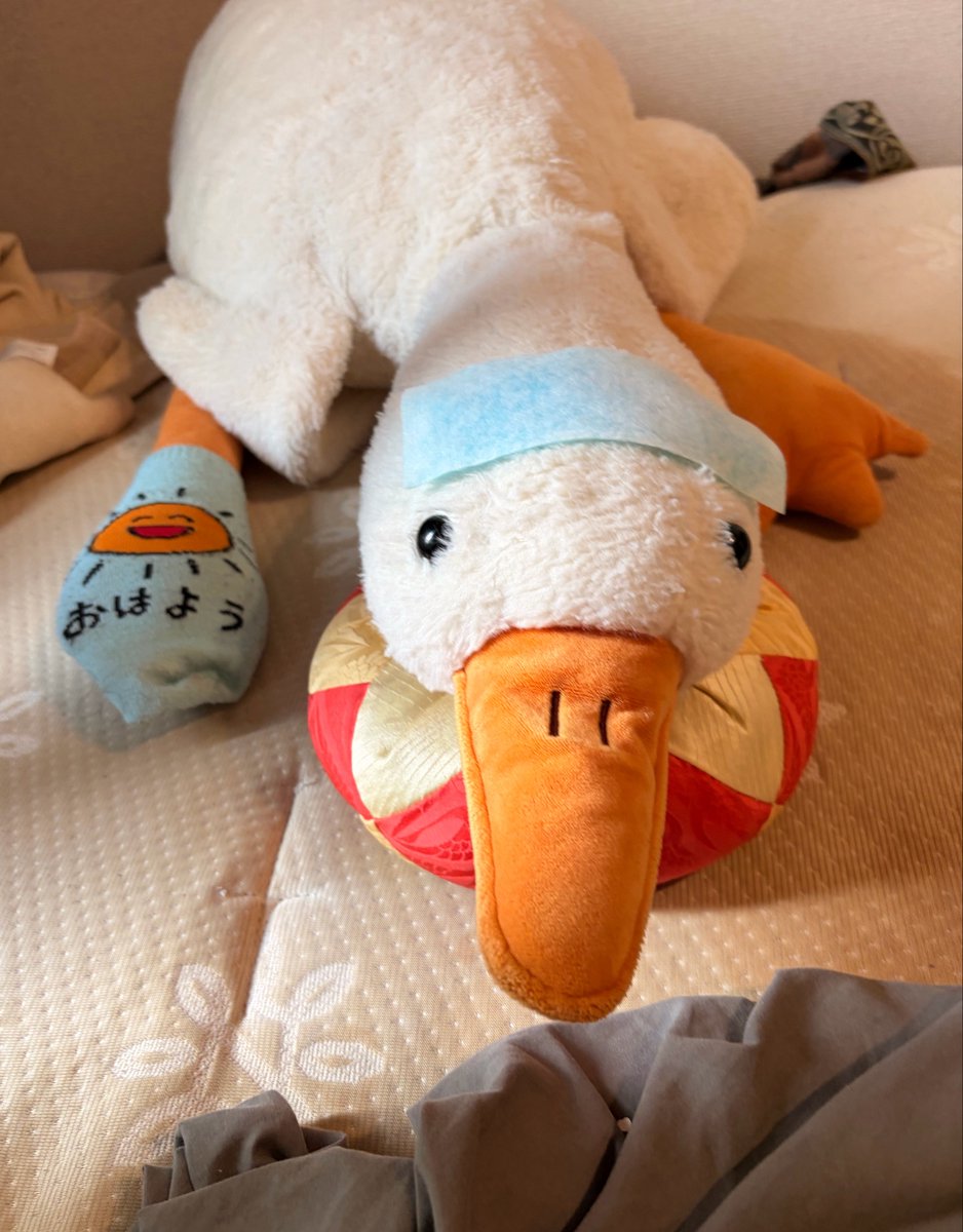 kanji_Toy's tweet photo. すみませんこいつに夏風邪うつしたので
会社休みます https://t.co/Ys4fOcne5d