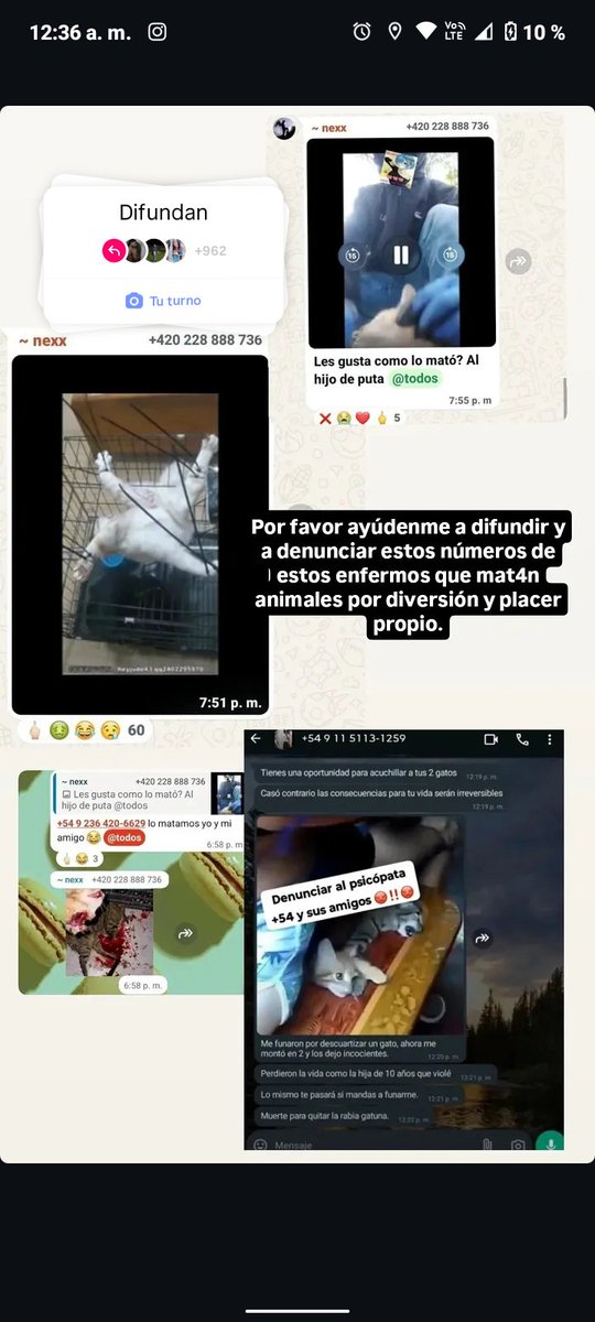 leniii_xzybam's tweet photo. es horrible lo que gente hace a unos animales que son seres de luz... difundan estos casos IMPORTANTES!!! 

no solo maltrata animales indefensos. violan a NIÑAS/OS si ven las imágenes se ve en in texto donde lo ADMITE, xfavor difundan x la vida de estos animales... https://t.co/ROlnvgZGUh