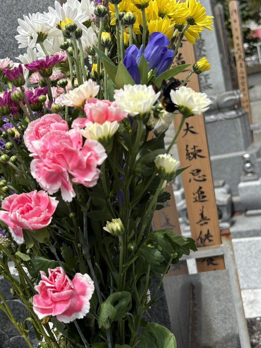 amber5963's tweet photo. お盆始まりました。

昨日のお酒全部汗として出ました🫠

大きな黒い蜂がずっと付きまとって来てきました🐝 https://t.co/0VIsmi1R48