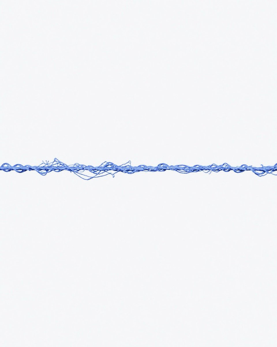 ApidogHQ's tweet photo. Caught in the web of better API development. 🩵💙🕸️
Apidog. Your all-in-one API development platform. https://t.co/wtJ5X0mEbj
