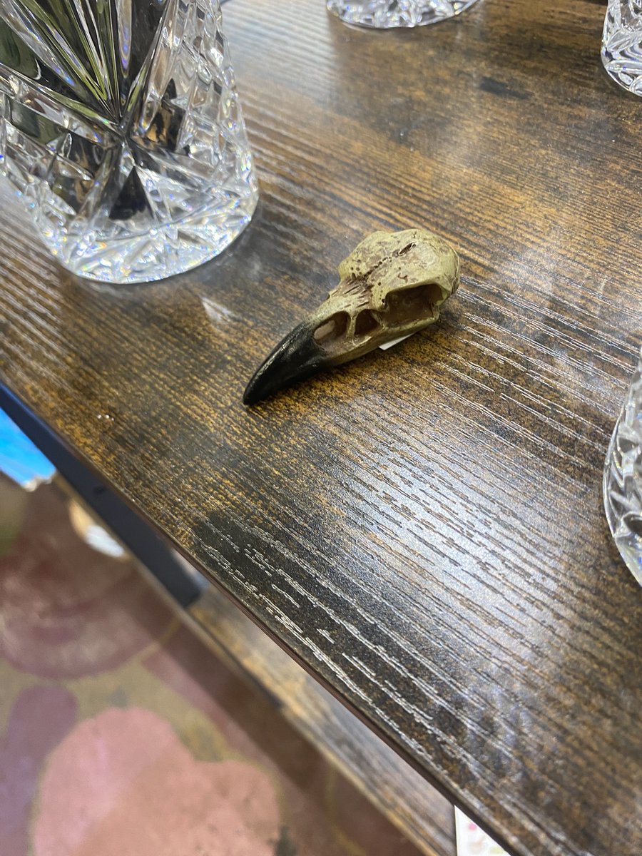 Mrcleanslefttoe's tweet photo. @cemeteryyPuppy_ Please stay safe I’ll miss u! I found this today and it reminded me of u! :(( https://t.co/HrIyjRLQoJ
