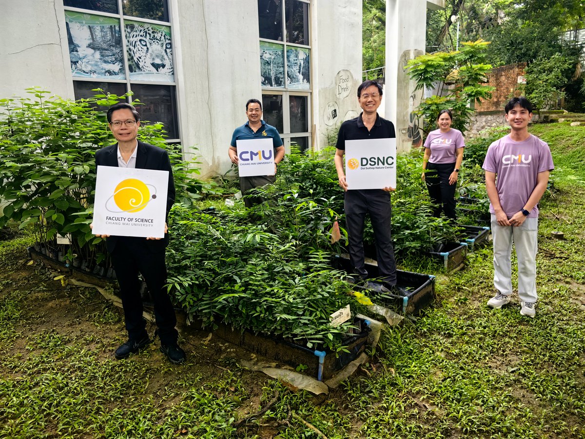 sci_cmu's tweet photo. Planting love for the land for Mother's Day💚CMU Science planted rare trees to restore biodiversity at the Doi Suthep Nature Center. 🌲✨https://t.co/kTmNzIG3YP
#scicmu #cmu https://t.co/HTd73Ruqp2