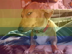 femillusory tweet picture