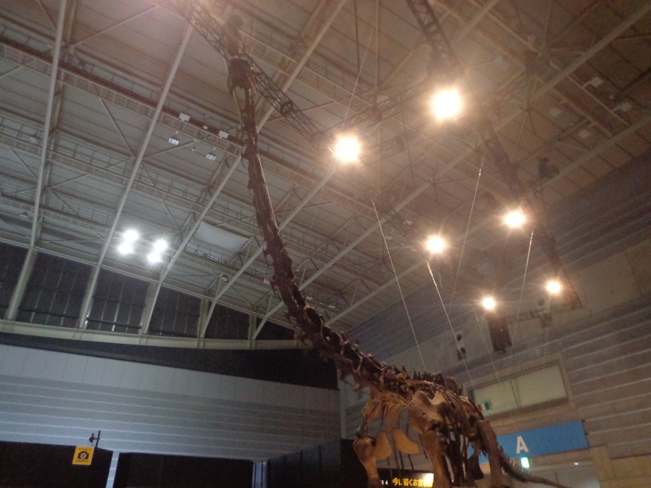 gigant2003's tweet photo. これ、どうやっても全体をフェンダーに納めることができなかった。でっかい。 https://t.co/gpamRYlqJb