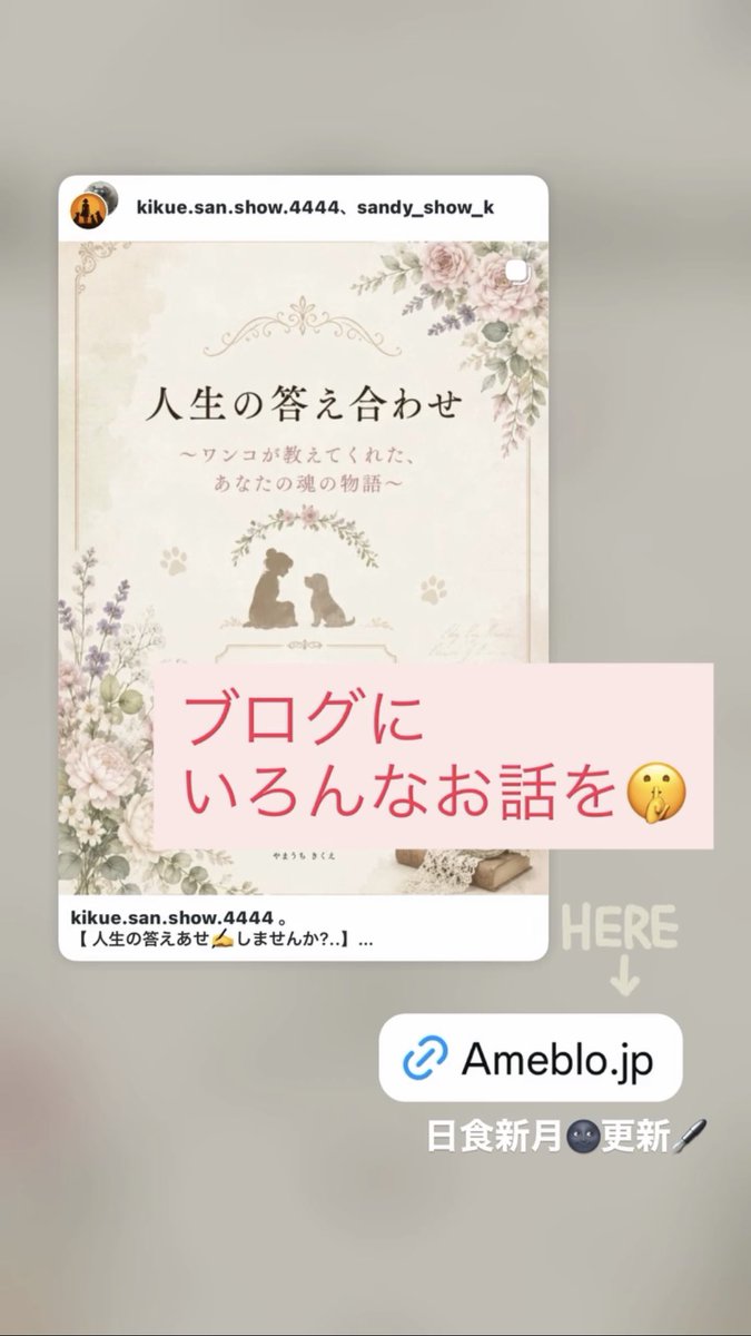 sandy_show_k's tweet photo. エネルギー高い時
🌚 日食新月の日
🌾 一粒万倍日
.
*他者からの邪魔(想念)を受けないように💫
*願いが スムーズに叶うように💫
.
🌐フラーレンプロテクション®︎で オーラ層を 整える🌈
🤎マヤ暦の叡智で 人生の 答え合わせを! 🌟
.
↓ブログを更新🖋↓
https://t.co/ynOtGQlXrb

#犬との暮らし https://t.co/9J7gMS8jia