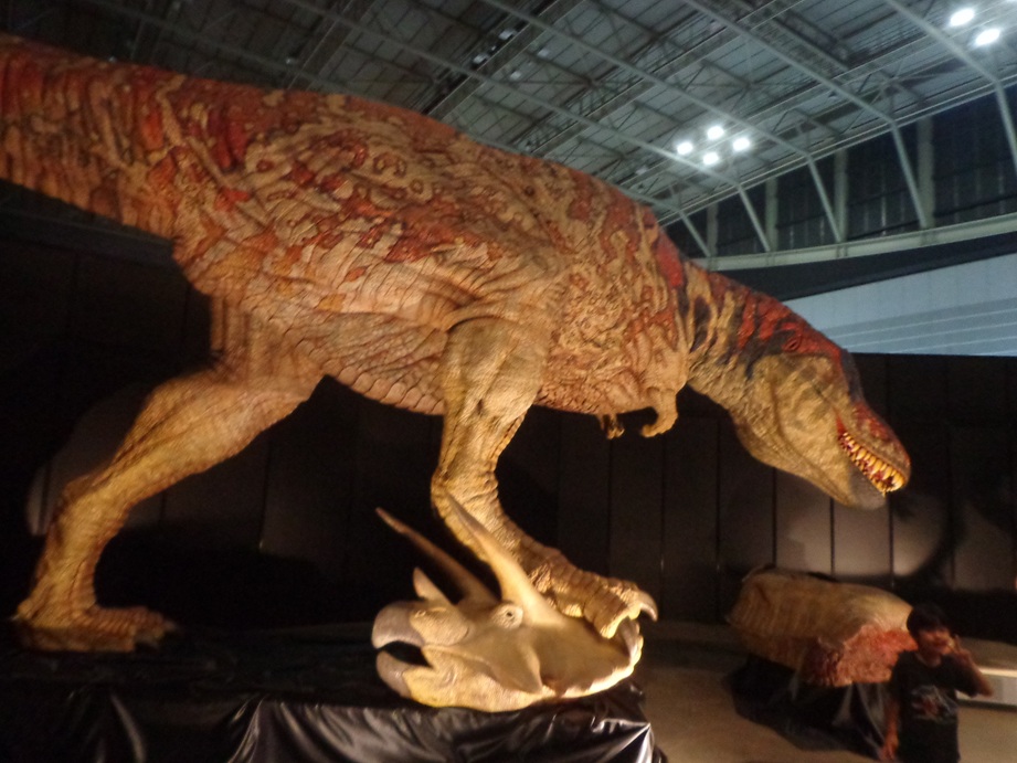 gigant2003's tweet photo. トリケラトプスをハントしたティラノサウルス。禍々しくも見えるが、実際はもっと泥臭いハンティングだったはず。残酷さのギリギリを攻めて来る展示。 https://t.co/8L5WhxaLmm