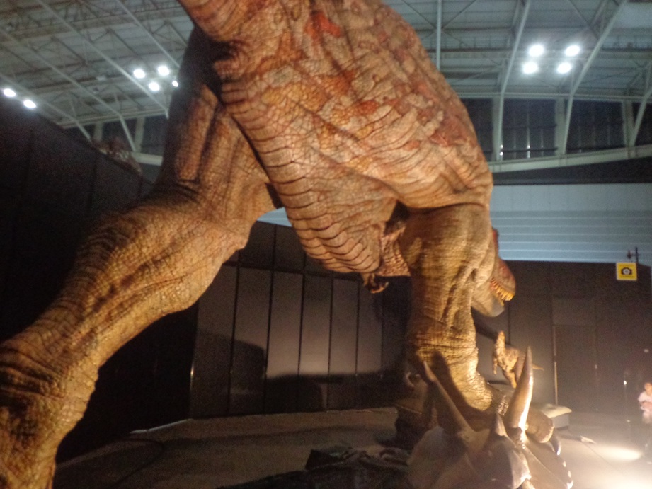 gigant2003's tweet photo. トリケラトプスをハントしたティラノサウルス。禍々しくも見えるが、実際はもっと泥臭いハンティングだったはず。残酷さのギリギリを攻めて来る展示。 https://t.co/8L5WhxaLmm
