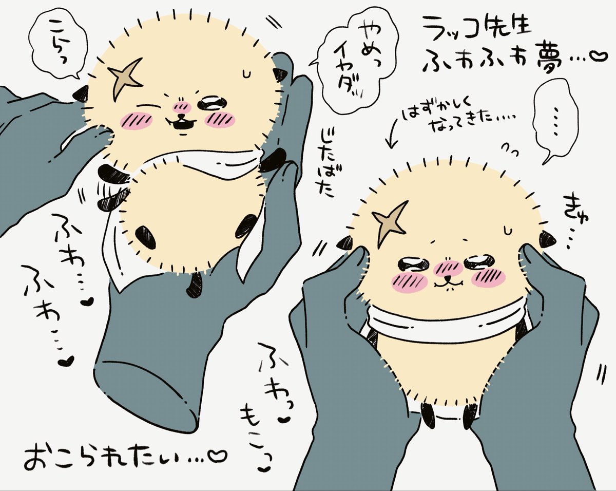 chisei_tikw tweet picture