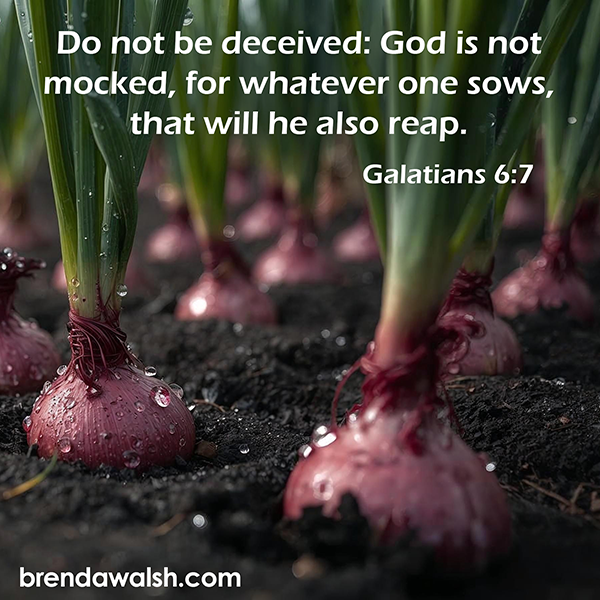 brendakwalsh's tweet photo. Today's Daily Scripture Picture: What Goes Around Grows Around
Galatians 6:7 – “Do not be deceived: God is not mocked, for what one sows, that he will also reap.”

#Christian #ChristianLiving #reap #sow #results #choices #consequence #spirituallaw #effect #deceit #selfish #giving https://t.co/jrGFHPkSl2