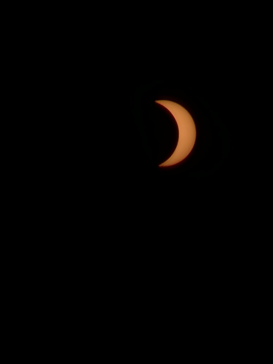 spenley's tweet photo. My reflections on the partial eclipse:
1. ~95% is still too bright to even see the sun has changed shape without a filter. 
2. It's amazing how well-lit the world is with even 5% of the sun exposed. 
BUT
3. The ambient light was just "wrong". The lizard part of my brain said that with the sun that high in the sky, the landscape was too dim.
AND
4. Leave the photos to the professionals, and just enjoy the experience.