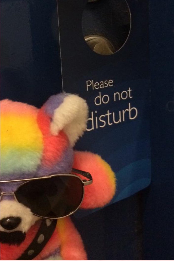 larrytsjwaffle's tweet photo. #NewProfilePic
#DoNotDisturb
Let them have some peace during their downtime https://t.co/I7HQijpxFv