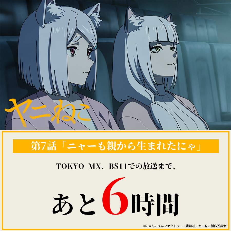 ╭━━━━━━━━━━━━━╮ TVアニメ『#ヤニねこ』 放送まで