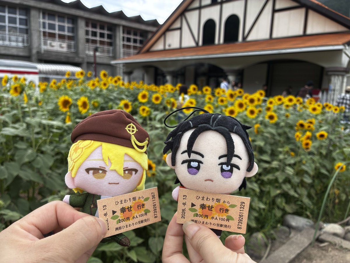 konoha823's tweet photo. 帰りに大好きなヒマワリ🌻畑にも〜！
一面のひまわりとそれに集まってくる🐝たちがすごかった。はちの密度がやべぇのよ😂
そしてここでも幸せって…てなる https://t.co/wdHGP8wTGO
